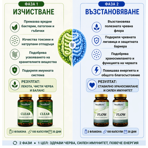 RESTART – 60-дневна програма за изчистване и възстановяване на червата