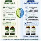 RESTART – 60 дни - Натурална програма за рестарт на червата.