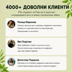 FLOW – Билкова терапия за чисти черва без запек