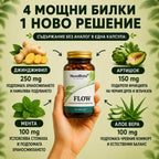 FLOW – Билкова терапия за чисти черва без запек