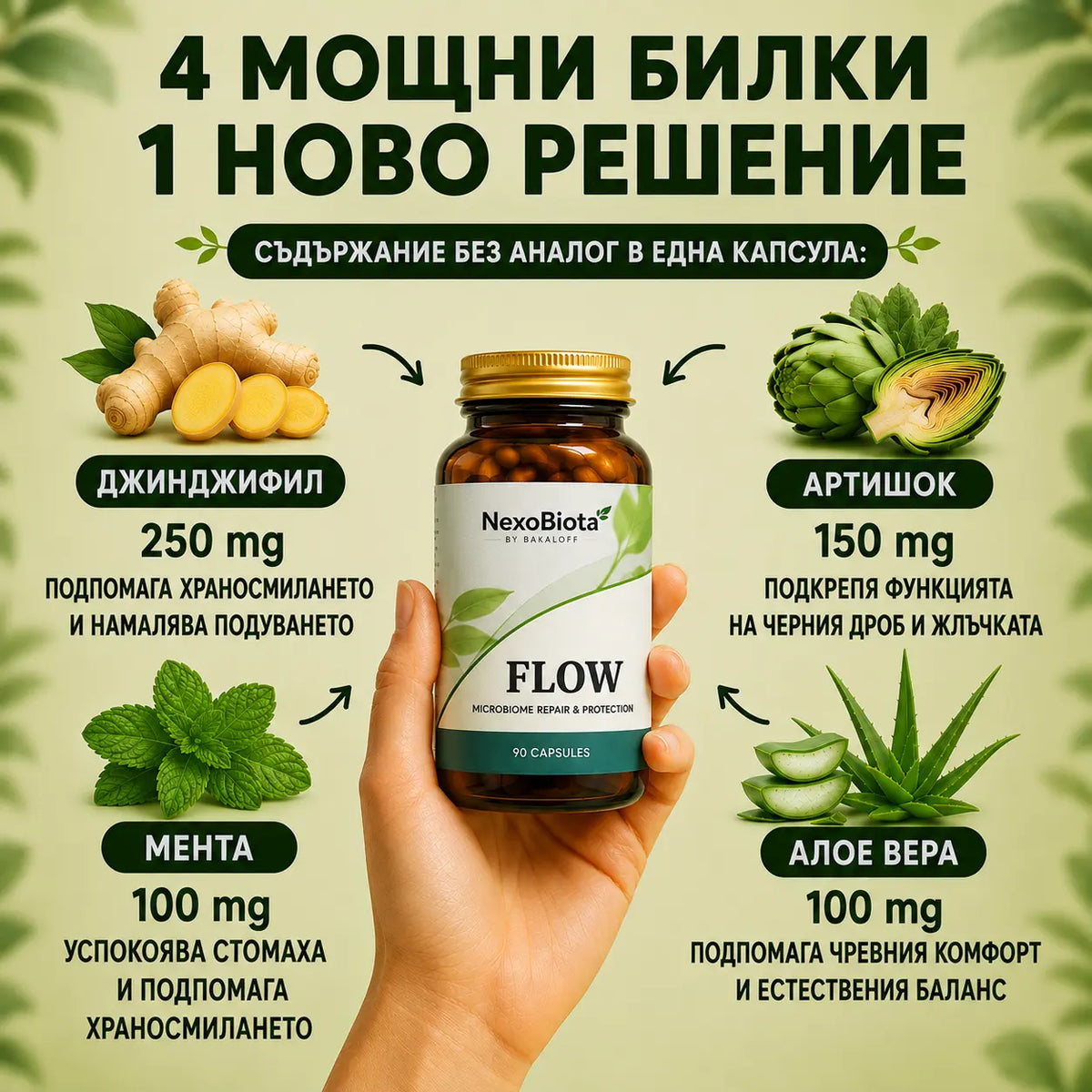 FLOW – Билкова терапия за чисти черва без запек