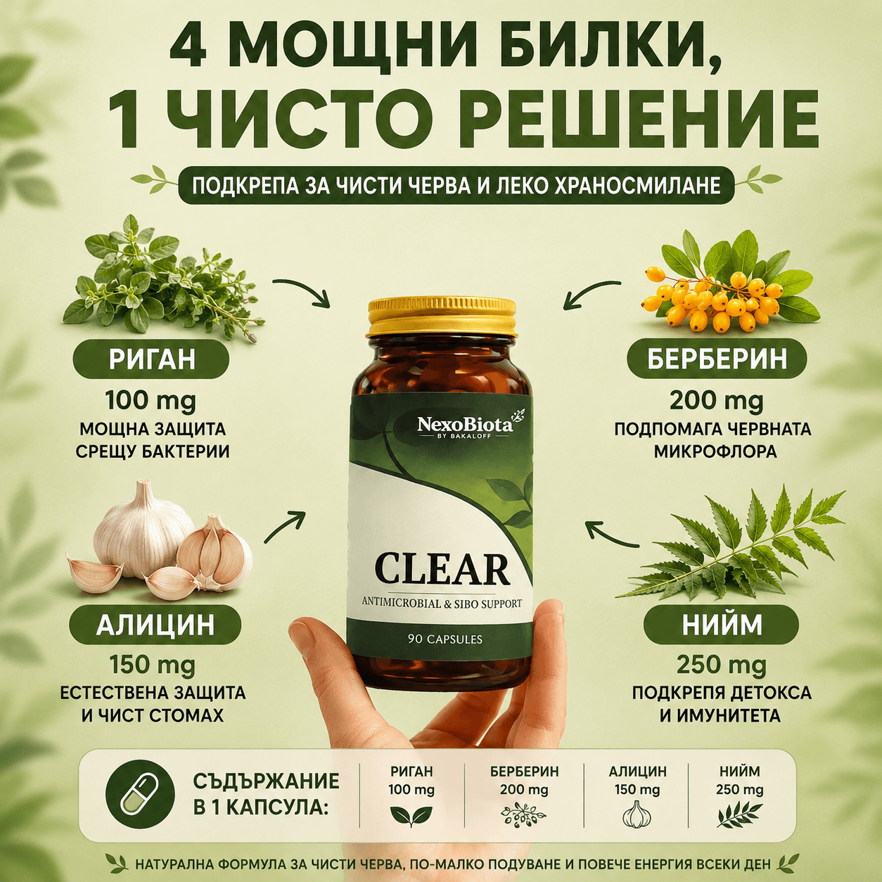 Biota CLEAR – Билкова формула при бактерии в тънките черва, подуване и газове