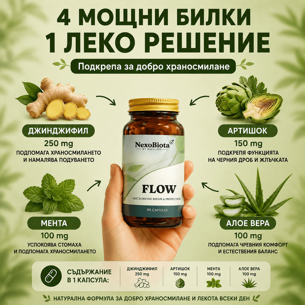 Biota FLOW – Билкова формула за храносмилане, подуване и лек стомах