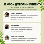 Biota FLOW – Билкова формула за храносмилане, подуване и лек стомах